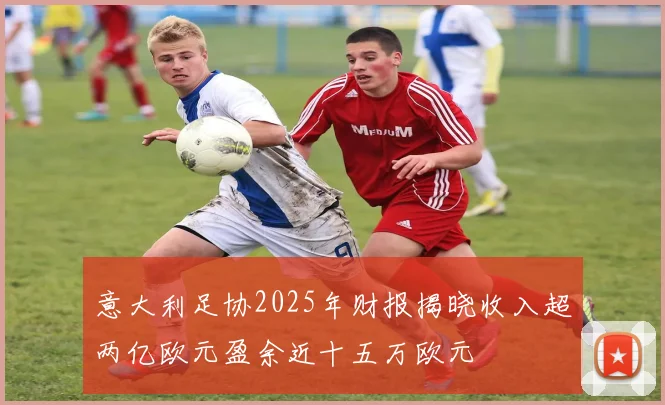 意大利足协2025年财报揭晓收入超两亿欧元盈余近十五万欧元